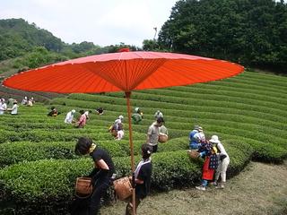 2009-07-05 12:13:29
