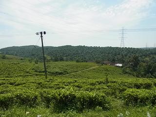 2011-02-19 12:09:15