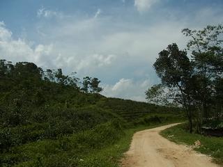 2011-02-19 15:48:11