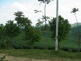 2011-02-19 15:54:31