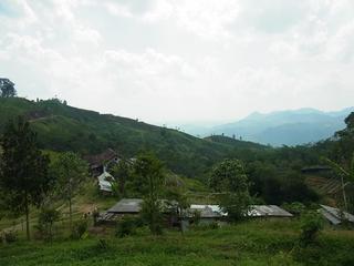 2011-02-19 16:25:37
