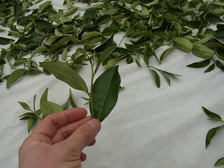 2011-02-19 16:30:25