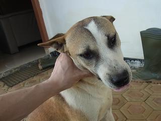 2011-02-19 17:17:03