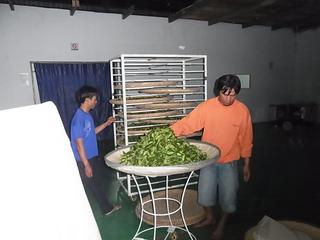 2011-02-19 23:04:45