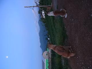 2011-02-20 07:49:04