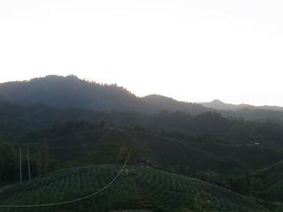 2011-02-20 07:50:00