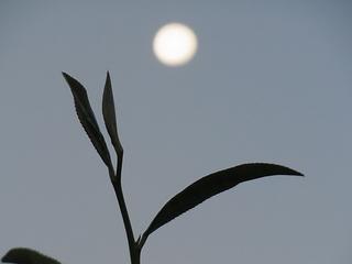 2011-02-20 07:54:18