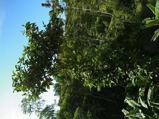 2011-02-20 10:01:02