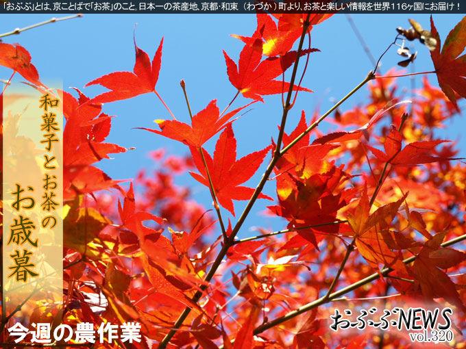 【おぶぶＮＥＷＳ】